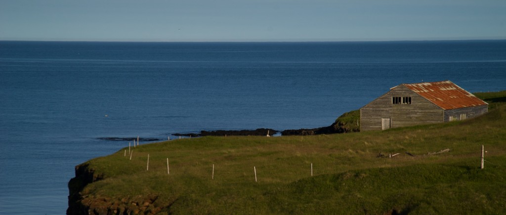 dsc_0245