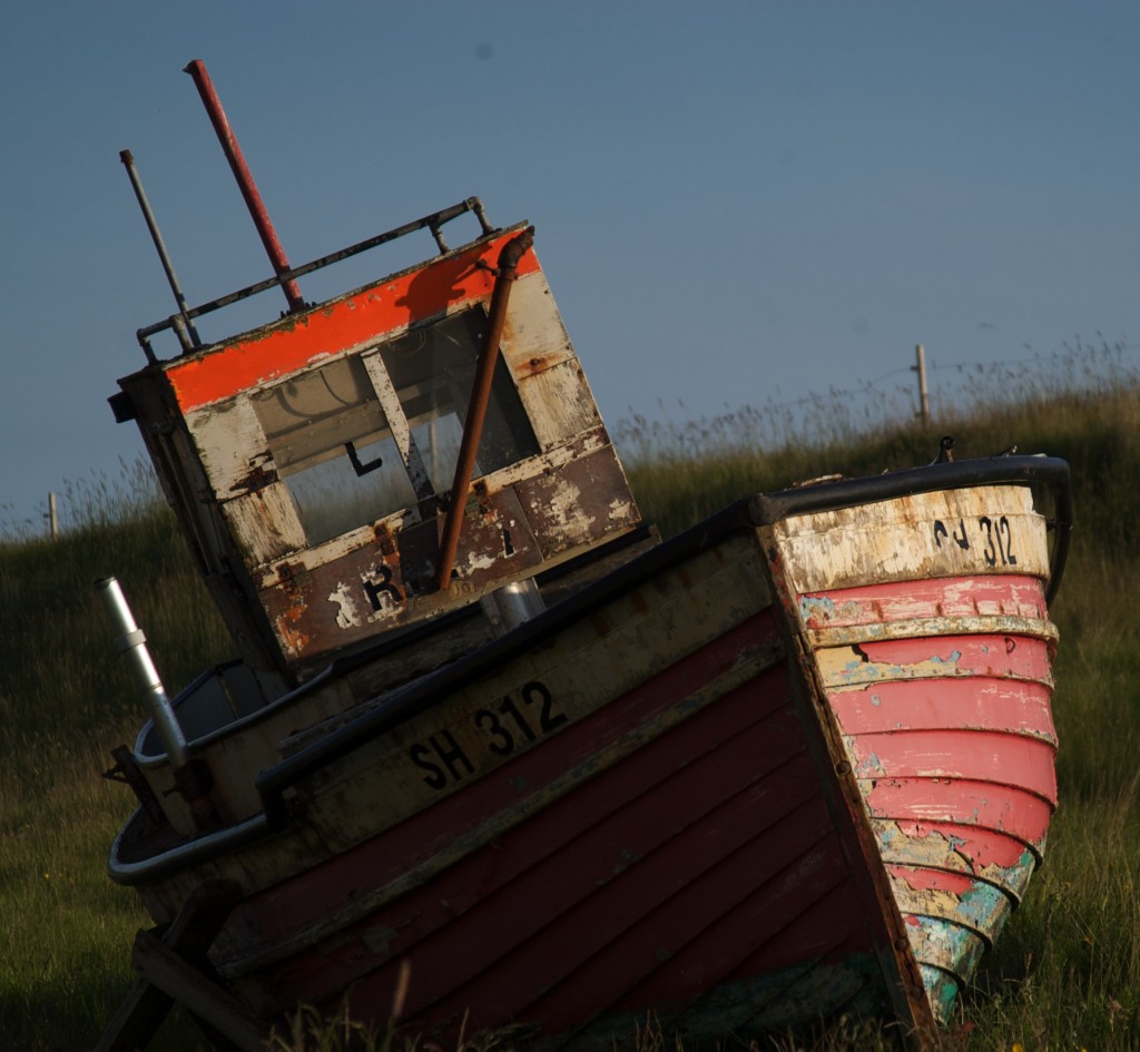 dsc_0257